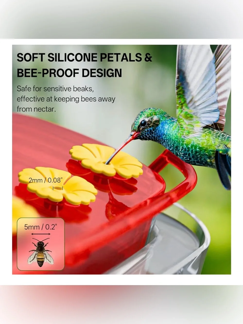 Window Hummingbird Feeder with Strong Suction Cups